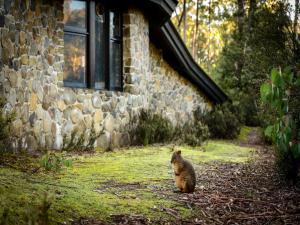 Discovery Parks - Cradle Mountain - On-site Activities