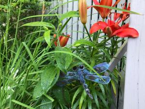 Dragonfly Guest House - Positive Guest Feedback