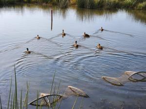 Dream Family Retreat ! Escape Relax and Rejuvenate - Entertainment Options Galore