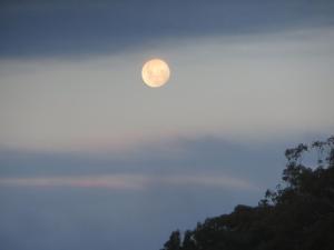 Eildon Parkview Motor Inn Room 2 - Location and Nearby Attractions