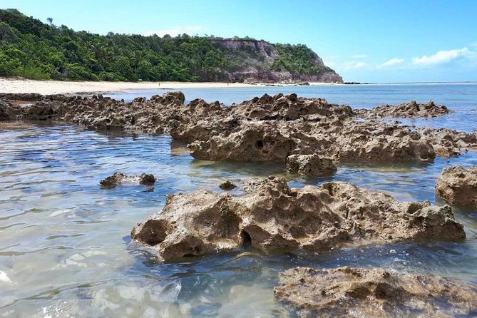 Full-Day Tour to Praia Do Espelho From Porto Seguro
