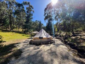 Golden Point Glamping - Exceptional Guest Experiences
