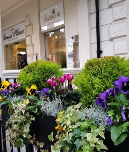 Grand Plaza Serviced Apartments - Policies and Check-in Details