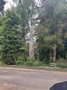 Green Gables Warburton Student Camper Accomodation - Property Management