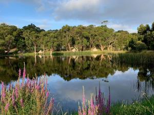 Iluka Retreat Glamping Village - Guest Reviews and Ratings