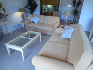 Lights Landing Apartments - Services and Assistance