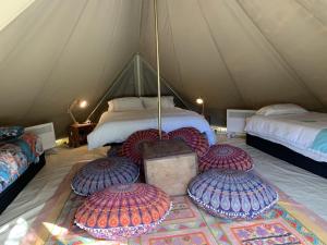 Luxury 6 Metre Bell Tent & Outdoor Bathroom, WIFI, TV and Firepit, - Booking Policies