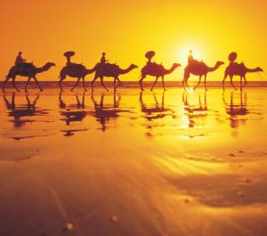 Mantra Frangipani Broome - Location and Accessibility