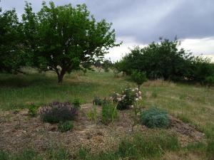 Meander Retreat - Garden Studio - Policies and Booking
