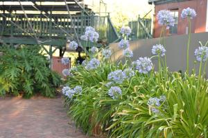 Mundaring Weir Hotel - Child and Extra Bed Policies