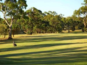 Novotel Barossa Valley Resort - Golfing at Tanunda Pines