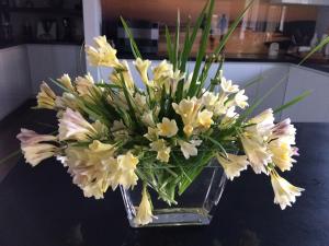 ON Keppies – BnB – Family Farm & Wedding Guest Accommodation Paterson NSW Review - The Last Word