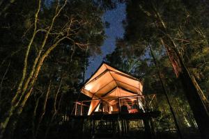 Paperbark Camp - Questions About Your Stay