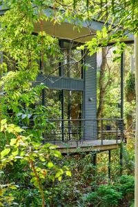 Pethers Rainforest Retreat Review - Rejuvenating Wellness Activities