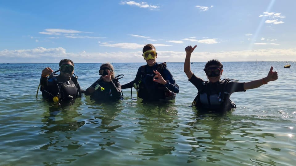 Puerto Morelos: Reef Diving