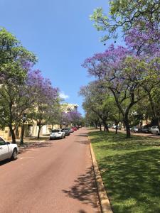Riverview on Mount Street - Nearby Attractions