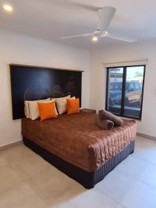 Safari Lodge Motel - Additional Information