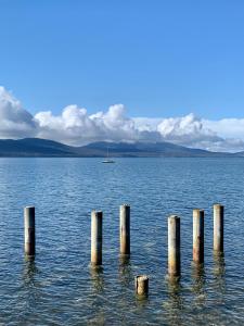 Sundays - Sustainability Efforts