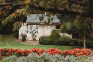 The Mountain View Cottage - Location and Surroundings