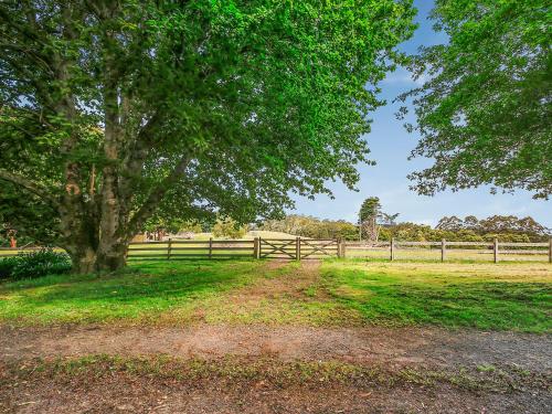 The Source, Otways - Tranquil Setting and Lush Greenery