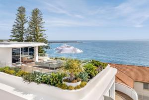 The Surf Yamba - Activities and Recreation