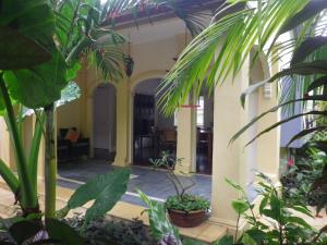 Villa Papaya - Guest Ratings and Feedback