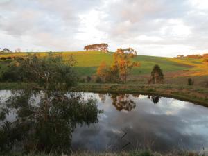 Walnut Cottage via Leongatha - Outdoor Experiences