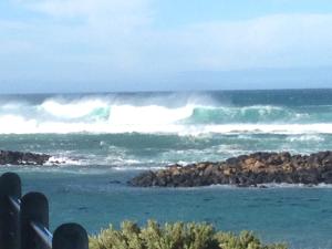 Wytonia Beachfront Accommodation - Peaceful Getaway