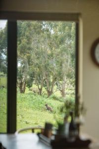 Adventure Bay Retreat Bruny Island - Nearby Attractions