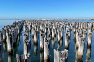 Amzing Ocean View Spacious Three Bedrooms Apartment Port Melbourne - Nearby Attractions and Activities