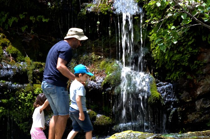 Andros Town, Pythara Waterfall, Menites Springs: Half-Day Tour - Participant Recommendations