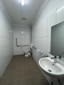 Beagle Hotel - Positive Guest Reviews