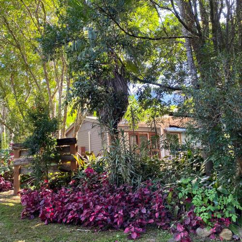 Birdsong Bellingen Farm - Exceptional Location and Views