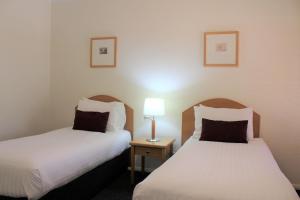 Carlyle Suites & Apartments - Location and Attractions