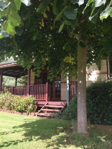 Clover Cottage Country Retreat - Local Area Highlights