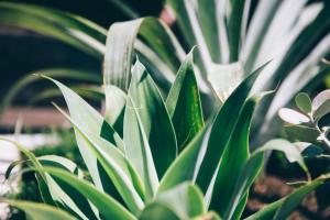 Coogee Bay Boutique Hotel - Getting There and Transportation