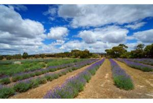 Discovery Parks - Kangaroo Island - Check-In and Policies