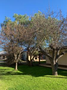 Dunkeld Studio Accommodation - Frequently Asked Questions