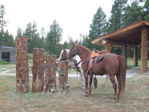 Eagle Ridge Ranch - Booking Your Stay