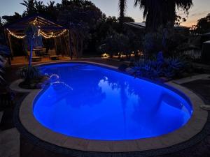 Haven Studio Hideaway Near Airport - Questions About Your Stay