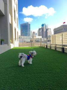 Hotel Nikko San Francisco - Additional Features and Discounts