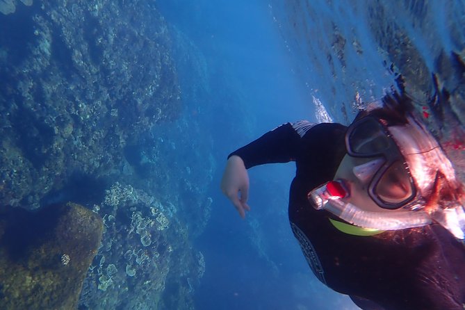 Kenting, Taiwan｜Snorkeling Free Underwater Photography One-On-One With Instructor｜Taiwan Diving Snorkeling - Certificate of Completion