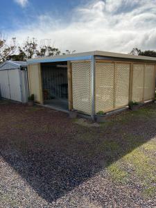 Lake Albert Motel - Nearby Activities