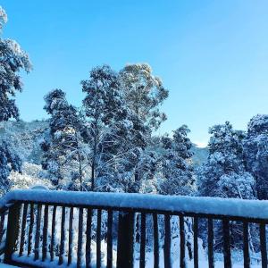 Lemonthyme Wilderness Retreat - Frequently Asked Questions