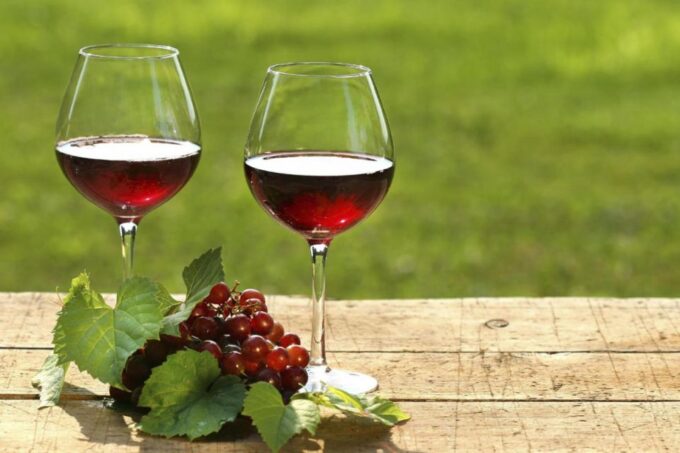 Mendoza: Wine Roads Half‐Day Tour With Regional Lunch - Winery Highlights