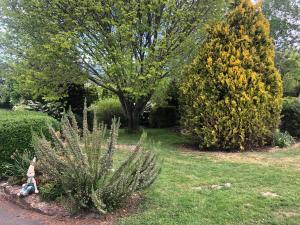 Mole Creek Hideaway - Exploring the Surroundings