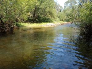 Riverbend Homestead - Location and Surroundings