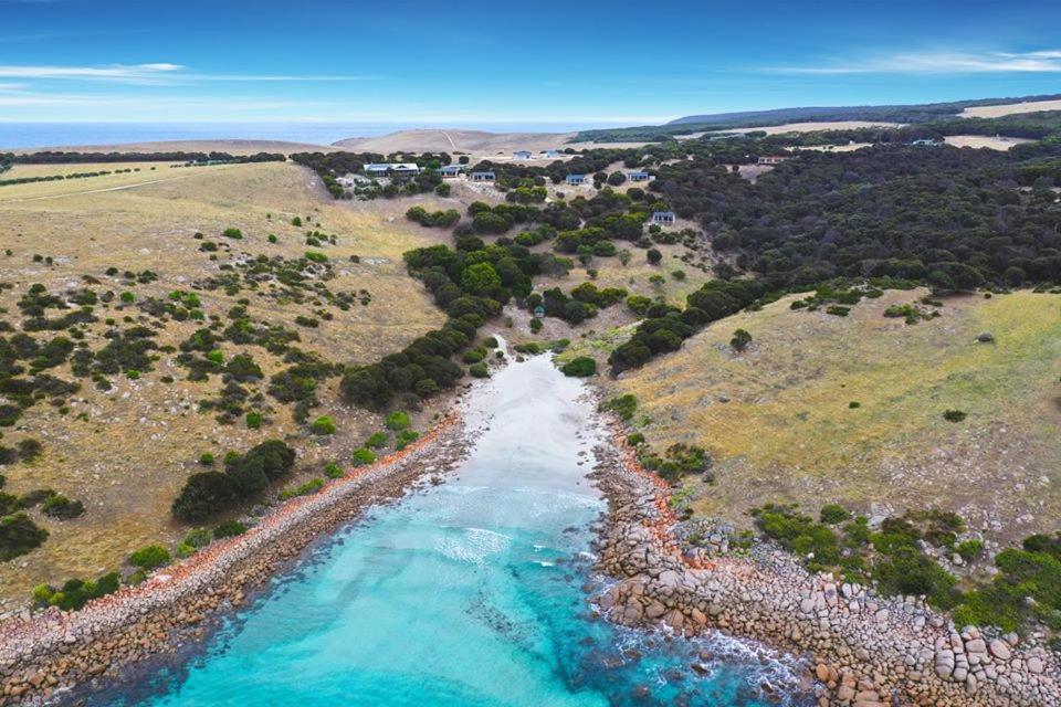 Sea Dragon Kangaroo Island Review