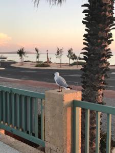 Shark Bay Seafront Apartments - Questions About Your Stay