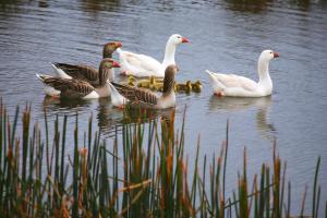Silver Ridge Retreat - Contact and Additional Information